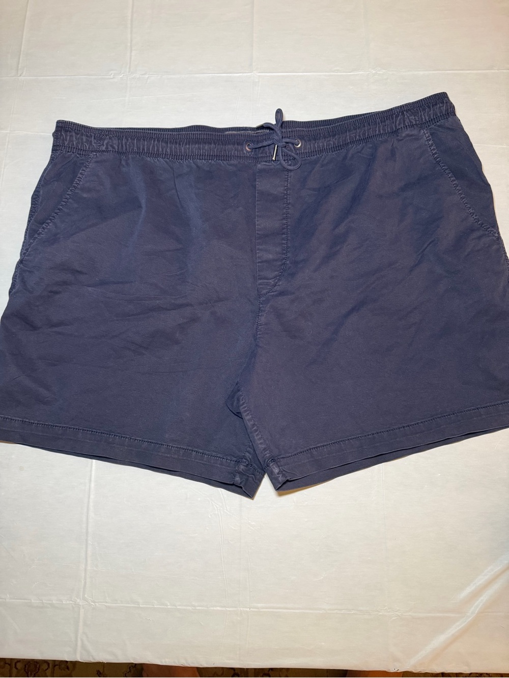 American Eagle Outfitters Navy Flat Front Flex Pull-On Shorts